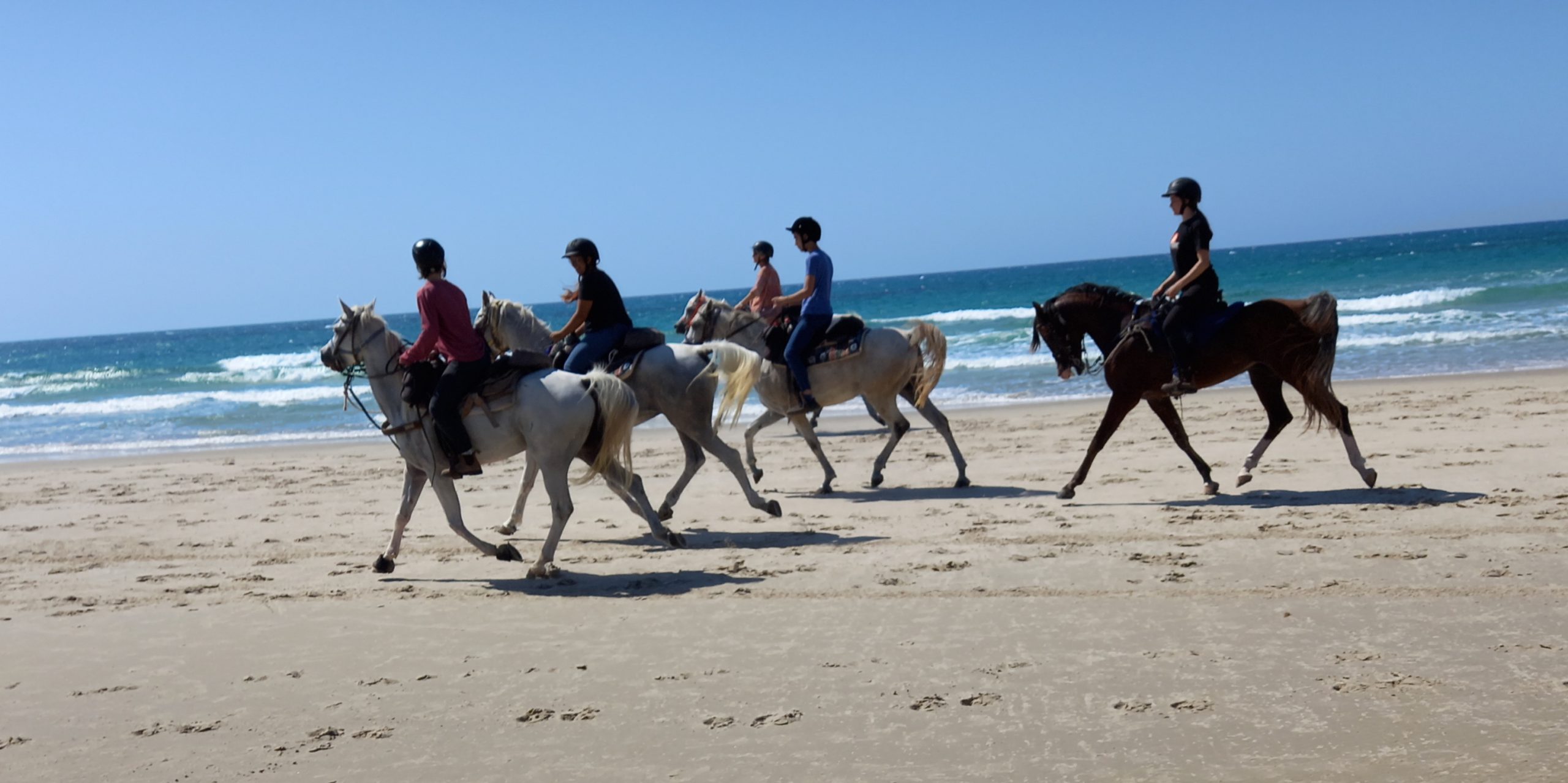 The Carmel & Seaside | Horseback Riding Vacations in Israel